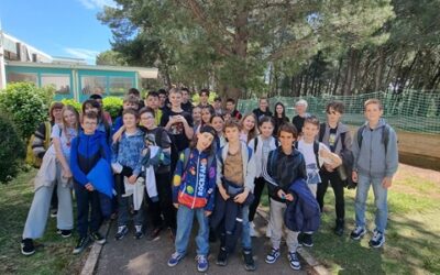 19. FESTIVAL MATEMATIKE U PULI
