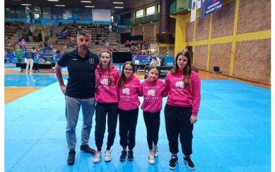 USPJEH NA TAEKWONDO TURNIRU