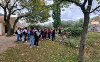 ŠESTAŠI NA TERENSKOJ NASTAVI NA KRKU