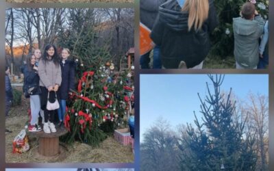 KIĆENJE BORA U ŠUMSKIM DVORIMA