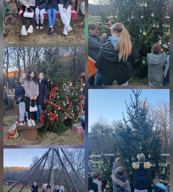 KIĆENJE BORA U ŠUMSKIM DVORIMA 