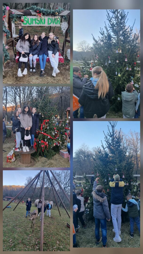 Medijski sadržaj (13)